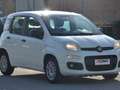 Fiat Panda Panda 1.2 Easy s Weiß - thumbnail 4