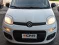Fiat Panda Panda 1.2 Easy s Weiß - thumbnail 20