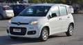 Fiat Panda Panda 1.2 Easy s Weiß - thumbnail 16