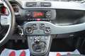 Fiat Panda Panda 1.2 Easy s Weiß - thumbnail 34