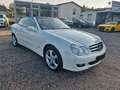 Mercedes-Benz CLK 200 K *AVANTGARDE*LEDER BRAUN*Keyless Go Weiß - thumbnail 1