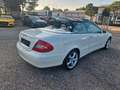 Mercedes-Benz CLK 200 K *AVANTGARDE*LEDER BRAUN*Keyless Go Weiß - thumbnail 12