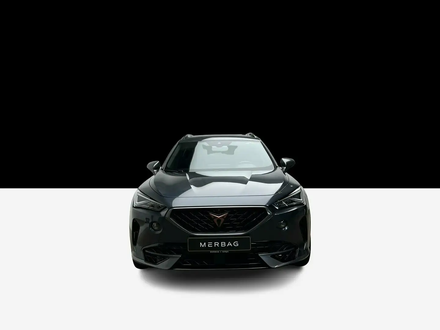 CUPRA Formentor Formentor VZ 2.0 TSI 4Drive OPF - 2