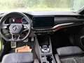 Skoda Octavia Combi RS Plus 2.0 TDI 4x4 DSG*AHK* Vert - thumbnail 5
