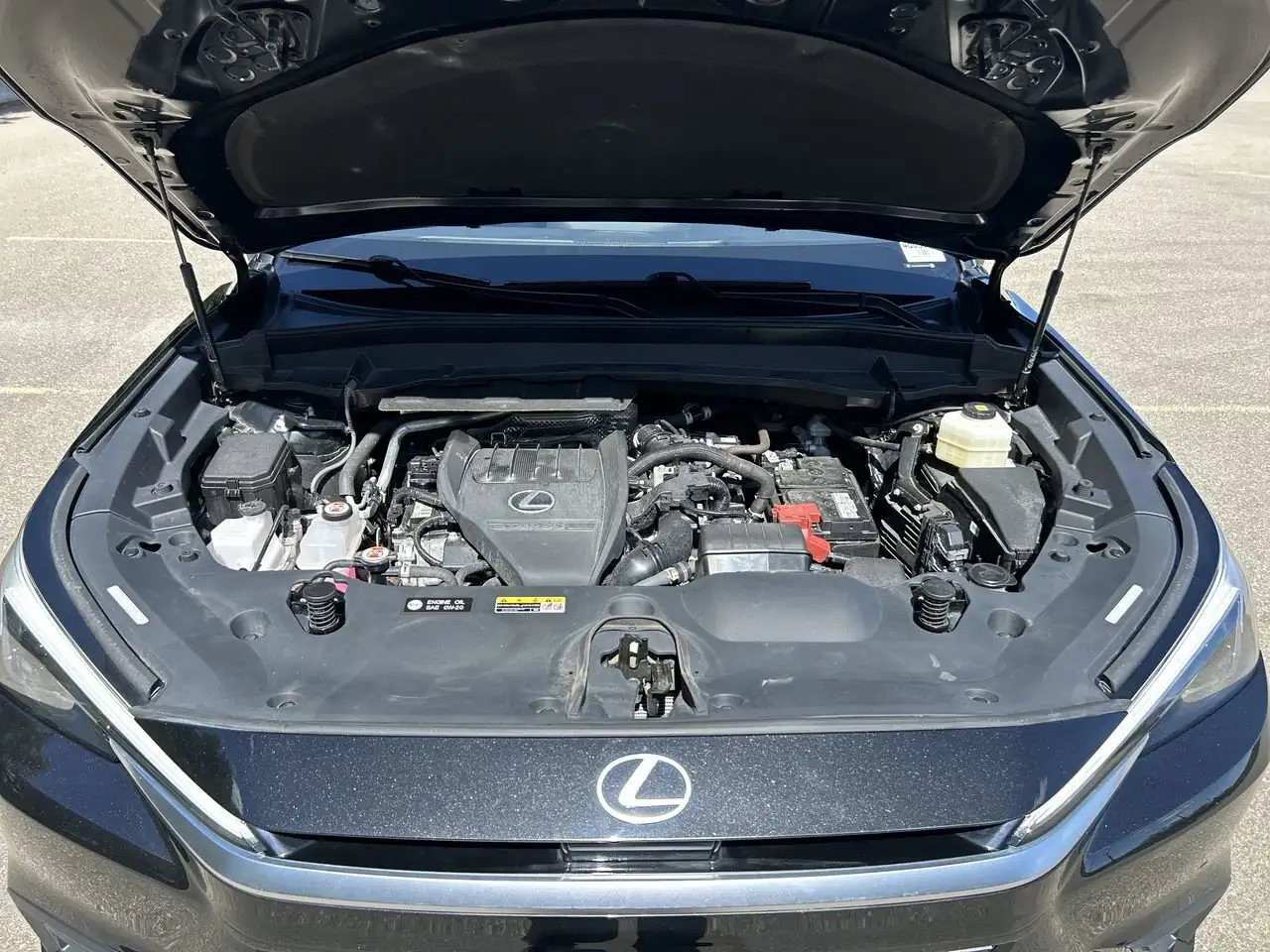 Lexus TX снимка Lexus TX
