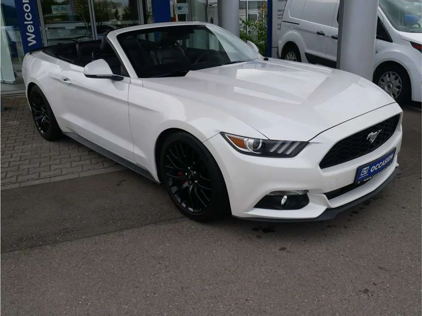 Ford Mustang Cabrio  2.3 EcoBoost 317cv M6 Wit - 2