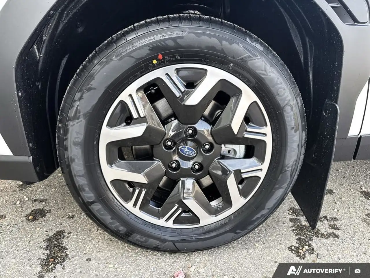 Subaru Forester снимка Subaru Forester