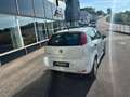 Fiat Punto 1,2 67 Easy Weiß - thumbnail 4