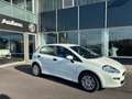 Fiat Punto 1,2 67 Easy Weiß - thumbnail 3