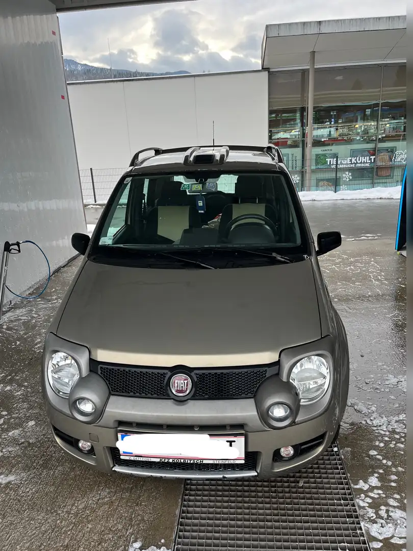 Fiat Panda 1.3 4x4 Multijet Diesel - 1