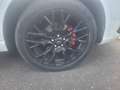 Ford Kuga 2.5 Duratec 225ch PHEV ST-Line X BVA Weiß - thumbnail 12