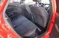 Ford Focus FOCUS TURNIER* ST-LINE* BI-XENON* WINTERPAKET* Rot - thumbnail 15