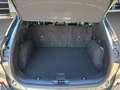 Ford Kuga 2.5 PHEV Plug-In Hybrid Titanium X Grau - thumbnail 19