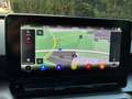 SEAT Leon 1.0 eTSi DSG *FR-Paket*Glasdach*Navigation* Silber - thumbnail 13