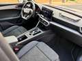 SEAT Leon 1.0 eTSi DSG *FR-Paket*Glasdach*Navigation* Silber - thumbnail 10