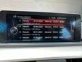 BMW 320 d Eff. Dynamics , Head-up, großes Navi, EURO6 Blau - thumbnail 16