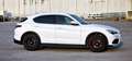 Alfa Romeo Stelvio Stelvio 2019 2.2 t B-Tech Q4 190cv auto Blanc - thumbnail 11