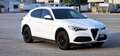 Alfa Romeo Stelvio Stelvio 2019 2.2 t B-Tech Q4 190cv auto Blanc - thumbnail 12