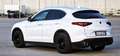 Alfa Romeo Stelvio Stelvio 2019 2.2 t B-Tech Q4 190cv auto Blanc - thumbnail 7