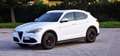 Alfa Romeo Stelvio Stelvio 2019 2.2 t B-Tech Q4 190cv auto Blanc - thumbnail 8