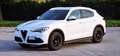 Alfa Romeo Stelvio Stelvio 2019 2.2 t B-Tech Q4 190cv auto Blanc - thumbnail 2