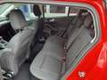 Ford Focus Turnier 1.0 EcoBoost Start-Stopp-System COOL&CONNE Rot - thumbnail 8