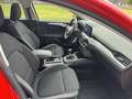 Ford Focus Turnier 1.0 EcoBoost Start-Stopp-System COOL&CONNE Rot - thumbnail 7