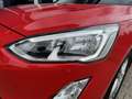 Ford Focus Turnier 1.0 EcoBoost Start-Stopp-System COOL&CONNE Rot - thumbnail 4
