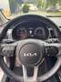 Kia Rio 1,2 DPI Silber Weiß - thumbnail 11