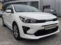 Kia Rio 1,2 DPI Silber Weiß - thumbnail 2