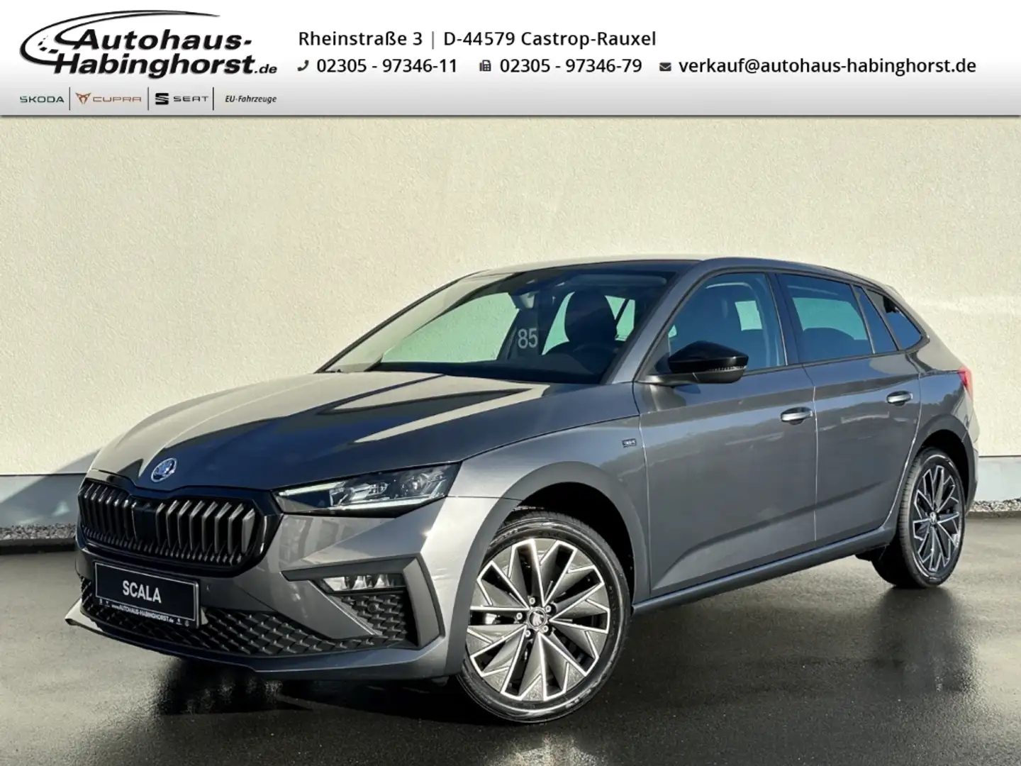 Skoda Scala 1.0 TSI Drive Kamera Navi SunSet Black Kessy Matri Grau - 1