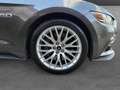 Ford Mustang Mustang Fastback V8 5.0 421 GT A Grau - thumbnail 16
