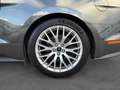Ford Mustang Mustang Fastback V8 5.0 421 GT A Grau - thumbnail 18