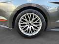 Ford Mustang Mustang Fastback V8 5.0 421 GT A Grau - thumbnail 17