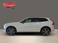 Volvo XC60 T8 Twin Engine AWD R Design Navi ACC Leder BLIS Blanc - thumbnail 4