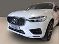 Volvo XC60 T8 Twin Engine AWD R Design Navi ACC Leder BLIS Blanc - thumbnail 3
