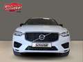Volvo XC60 T8 Twin Engine AWD R Design Navi ACC Leder BLIS Blanc - thumbnail 2