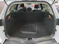Ford Focus Turnier 1.0 EB Titanium Tempomat PDC Shz Weiß - thumbnail 11