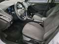 Ford Focus Turnier 1.0 EB Titanium Tempomat PDC Shz Weiß - thumbnail 8