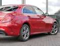 Mercedes-Benz C 220 d AMG Line AHK/RFK/LED Rojo - thumbnail 14