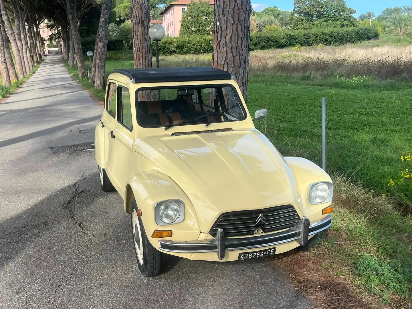 Citroen Dyane 6 Bej - 1