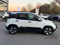 Fiat Panda Cross +PDC+Klima+Carplay+Spurhalte+Schildererkennu Blanc - thumbnail 4
