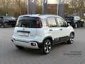 Fiat Panda Cross +PDC+Klima+Carplay+Spurhalte+Schildererkennu Blanc - thumbnail 5