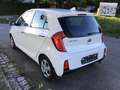 Kia Picanto Picanto 1.0 Edition 2. Hd 8-fach SHZ LenkHzg …! Weiß - thumbnail 2