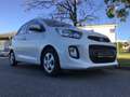 Kia Picanto Picanto 1.0 Edition 2. Hd 8-fach SHZ LenkHzg …! Weiß - thumbnail 8