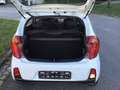 Kia Picanto Picanto 1.0 Edition 2. Hd 8-fach SHZ LenkHzg …! Weiß - thumbnail 13