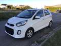 Kia Picanto Picanto 1.0 Edition 2. Hd 8-fach SHZ LenkHzg …! Weiß - thumbnail 1
