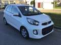 Kia Picanto Picanto 1.0 Edition 2. Hd 8-fach SHZ LenkHzg …! Weiß - thumbnail 4