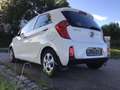 Kia Picanto Picanto 1.0 Edition 2. Hd 8-fach SHZ LenkHzg …! Weiß - thumbnail 6