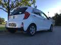 Kia Picanto Picanto 1.0 Edition 2. Hd 8-fach SHZ LenkHzg …! Weiß - thumbnail 7